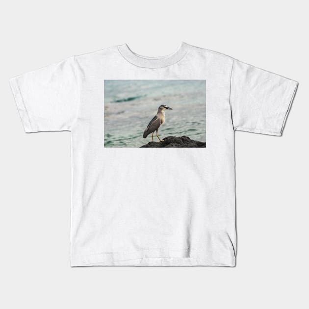 Black-crowned night heron of hawaii 4 Kids T-Shirt by KensLensDesigns